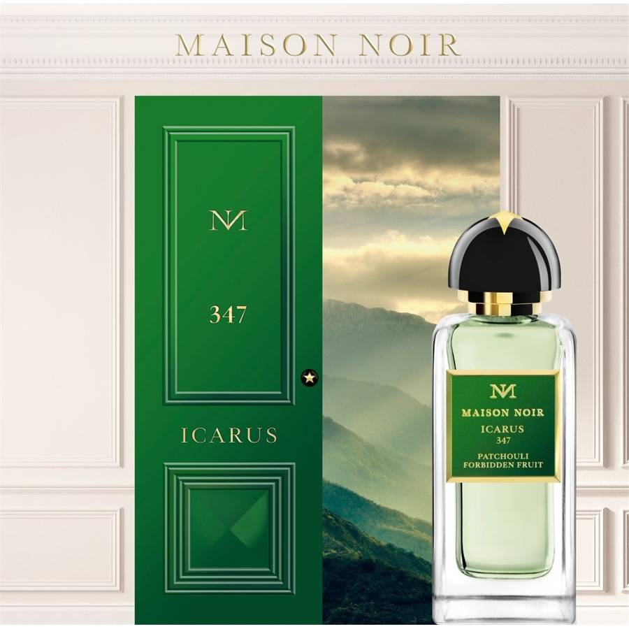 Maison-Noir Icarus 347