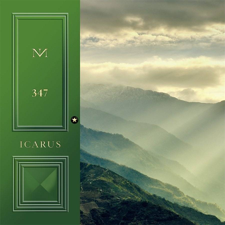 Maison-Noir Icarus 347