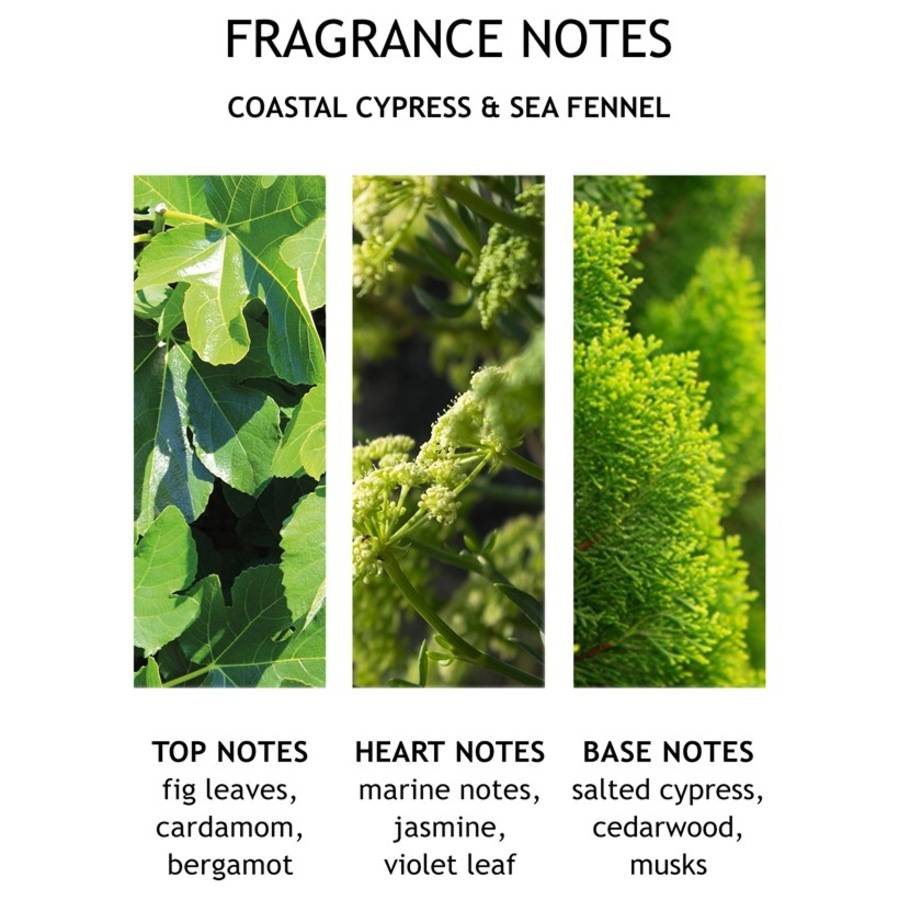Molton-Brown Coastal Cypress & Sea Fennel
