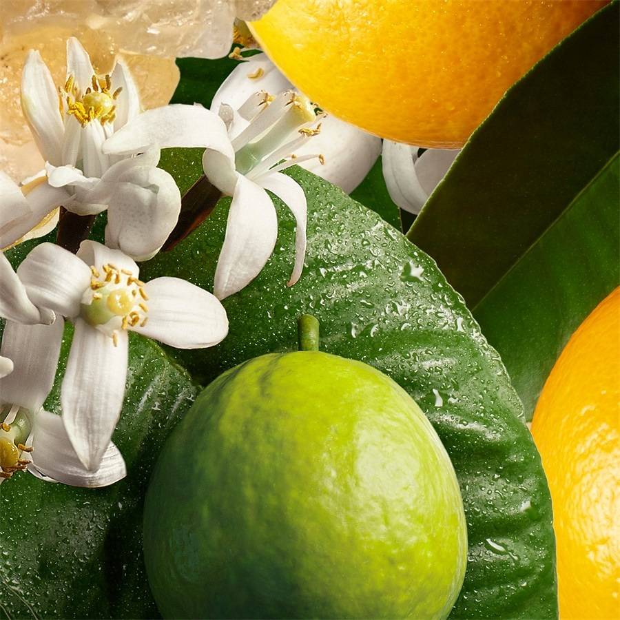 Molton-Brown Orange & Bergamot