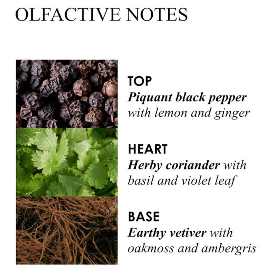 Molton-Brown Re-Charge Black Pepper