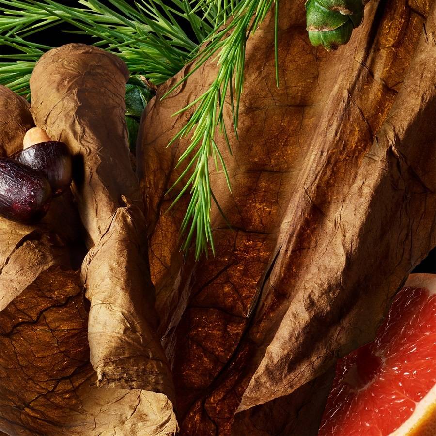 Molton-Brown Tobacco Absolute