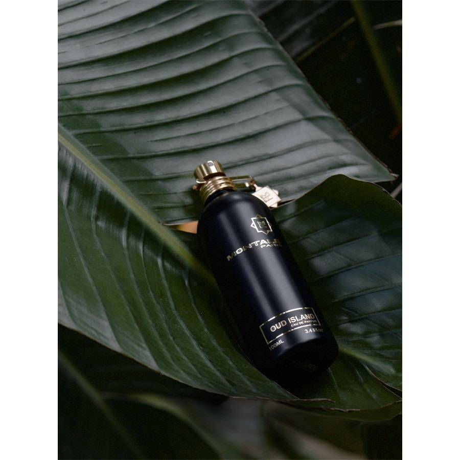 Montale Oud