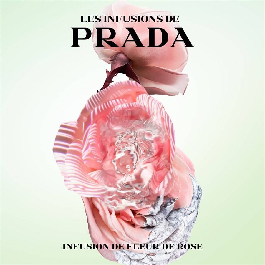 Prada Les Infusions