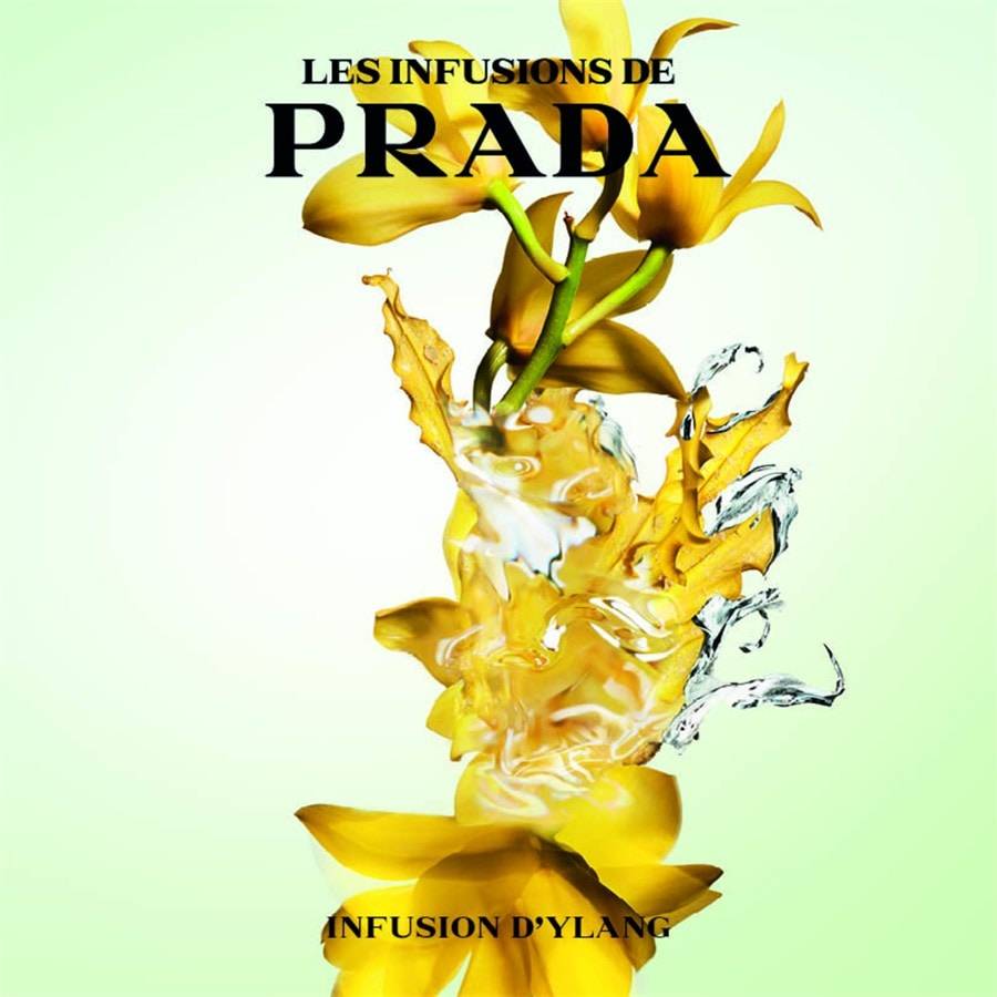 Prada Les Infusions
