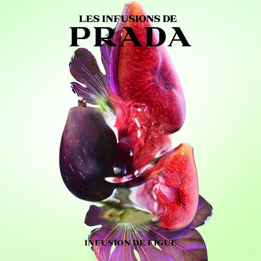 Prada Les Infusions