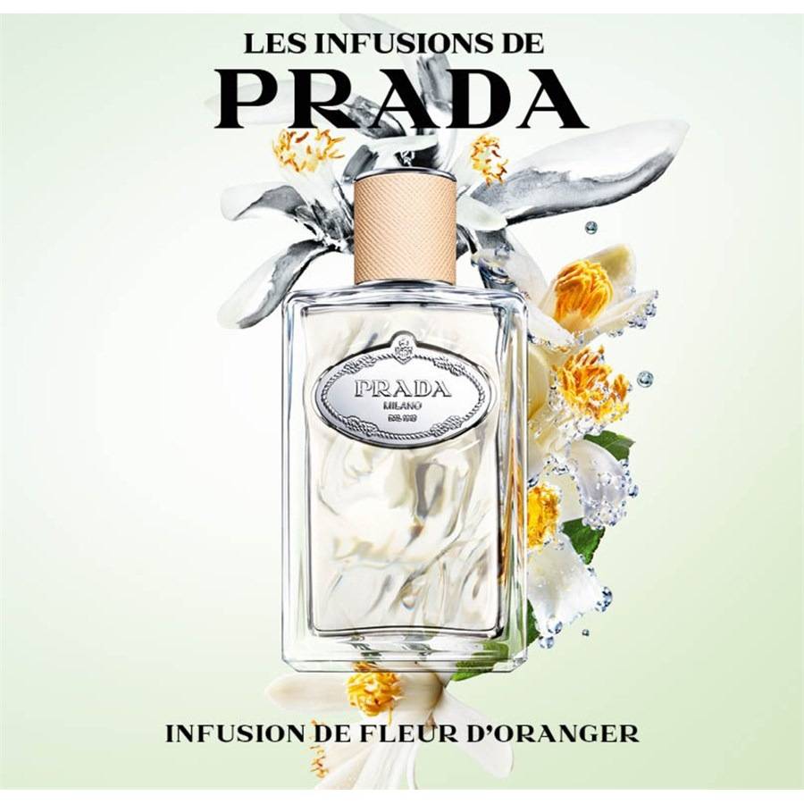 Prada Les Infusions