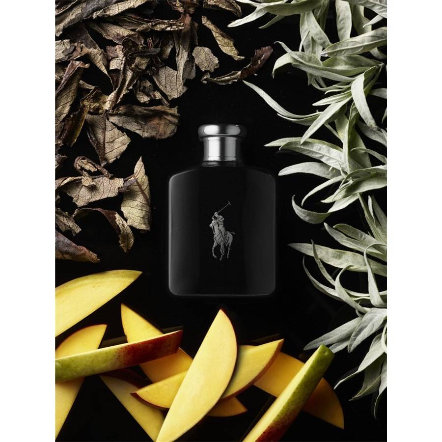 Ralph-Lauren Polo Black