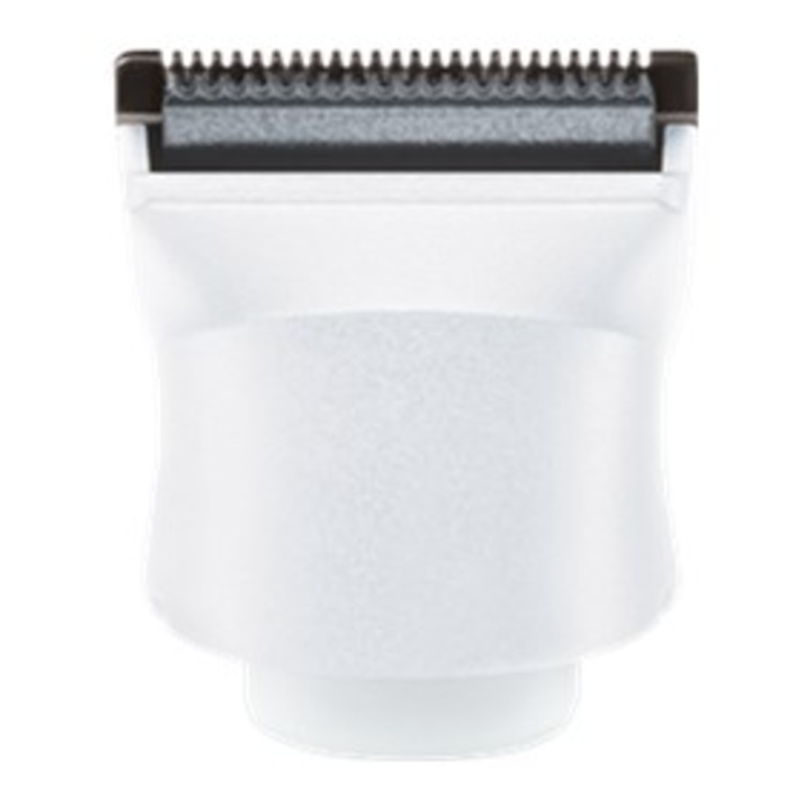 Remington Personal Groomer