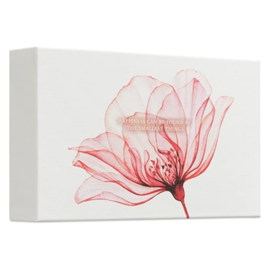 RITUALS The Ritual Of Ayurveda