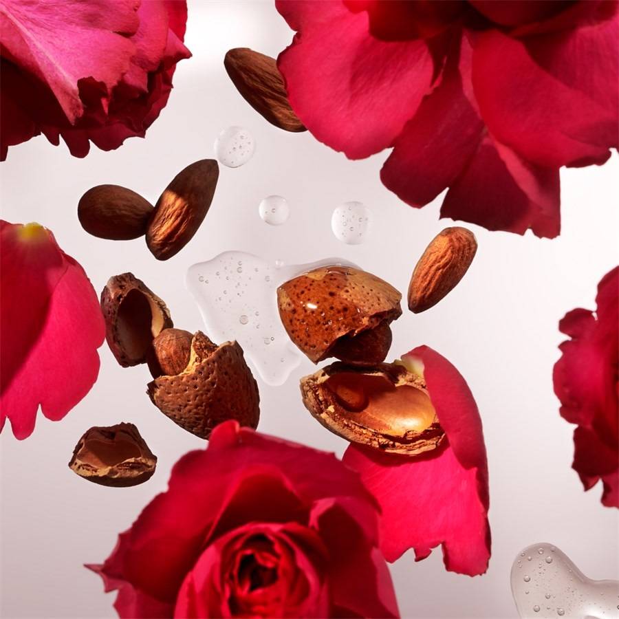 RITUALS The Ritual Of Ayurveda