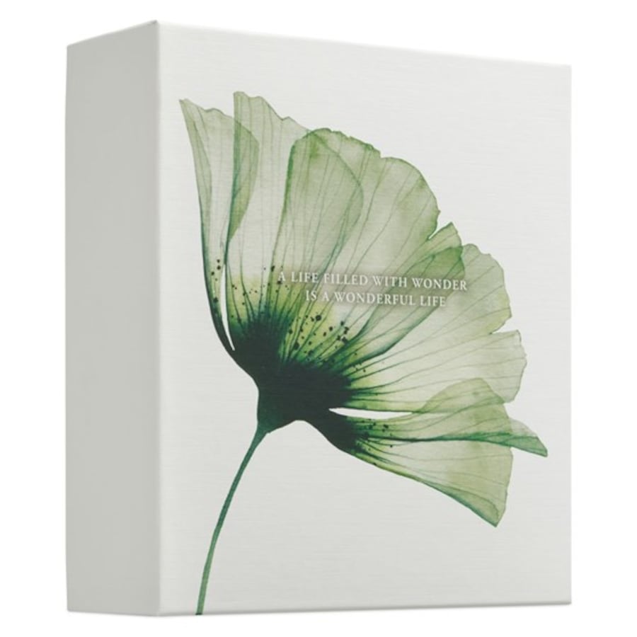 RITUALS The Ritual Of Jing