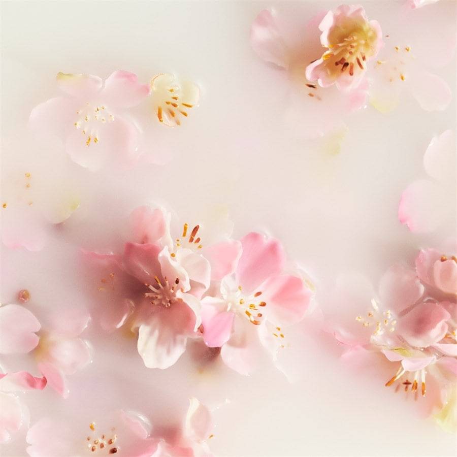 RITUALS The Ritual Of Sakura