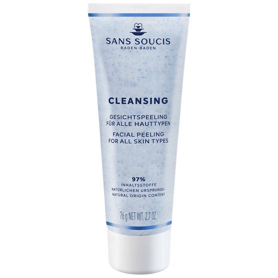 Sans-Soucis Reinigung