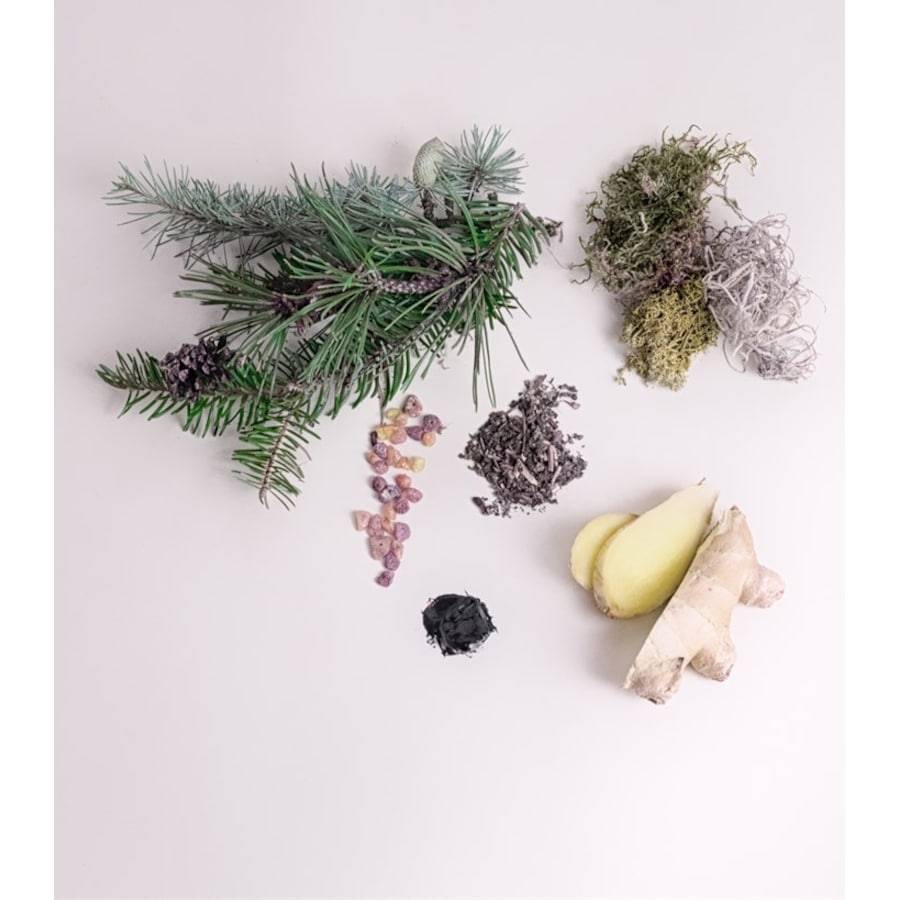 SCENTORIE Reise Duftkerzen