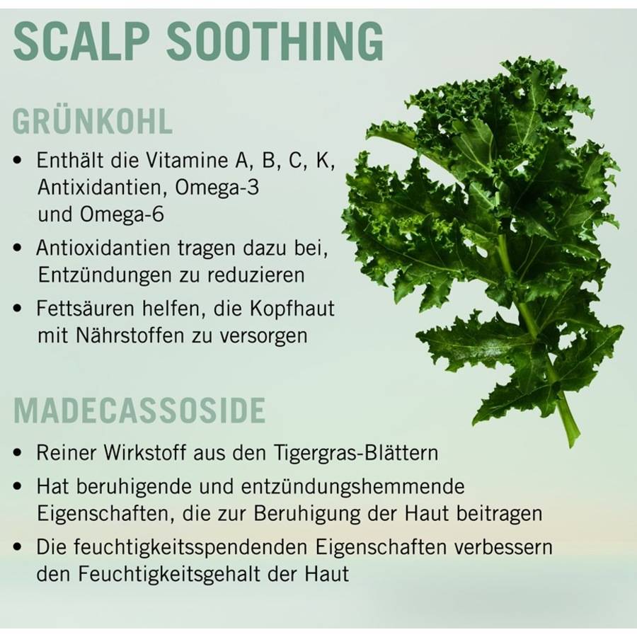 Schwarzkopf-Professional Scalp Care
