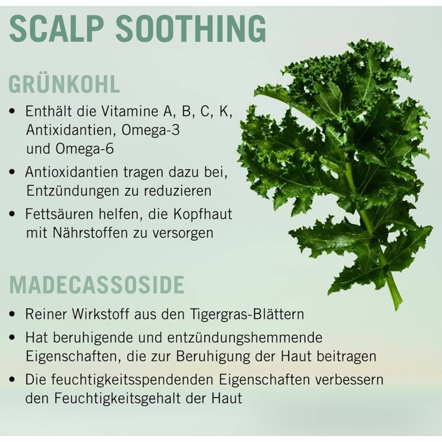 Schwarzkopf-Professional Scalp Care
