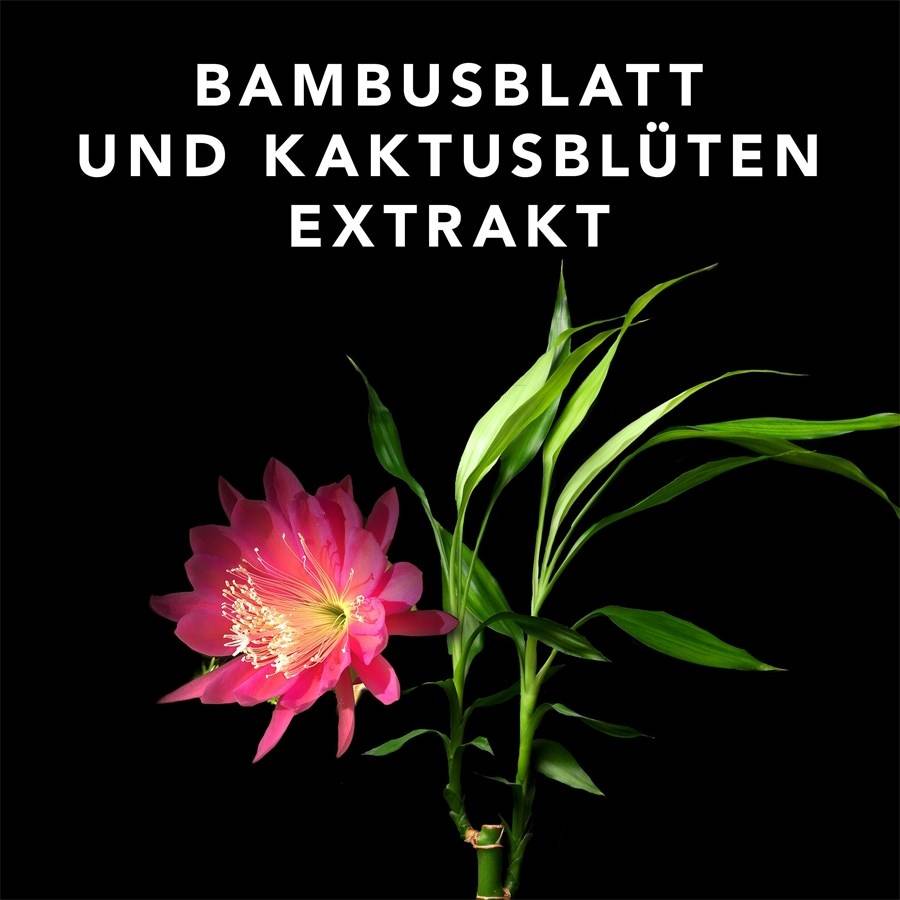 Sebastian Foundation