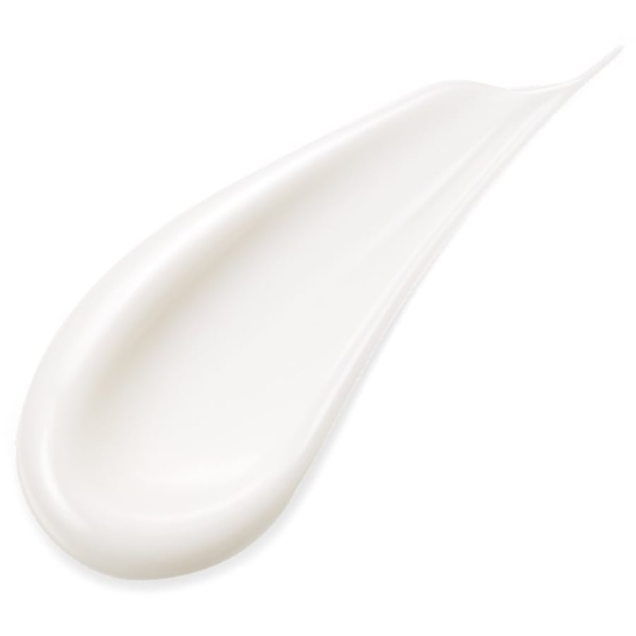 SENSAI Absolute Silk