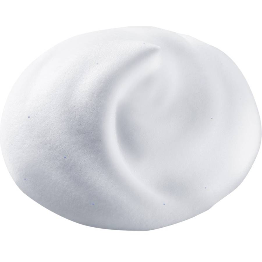 Shiseido Reinigung & Makeup Entferner