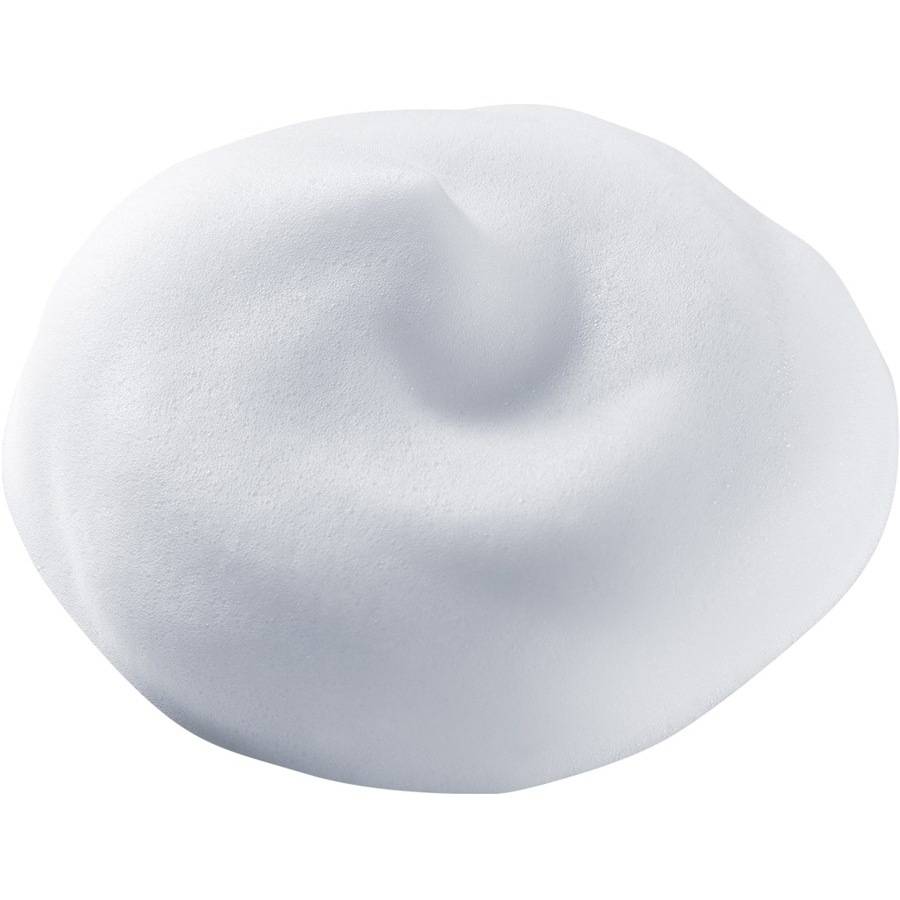 Shiseido Reinigung & Makeup Entferner