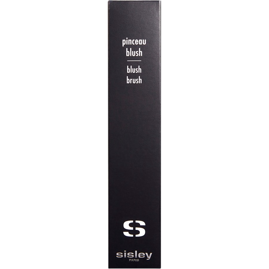 Sisley Pinsel