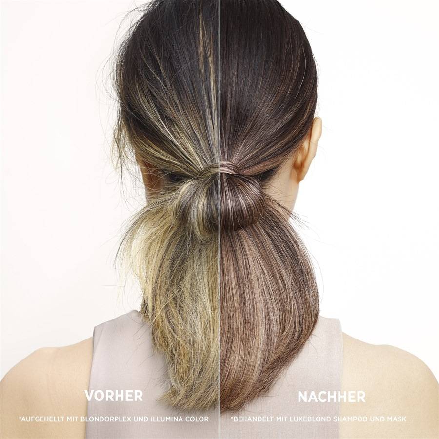 System-Professional-Lipid-Code Luxeblond