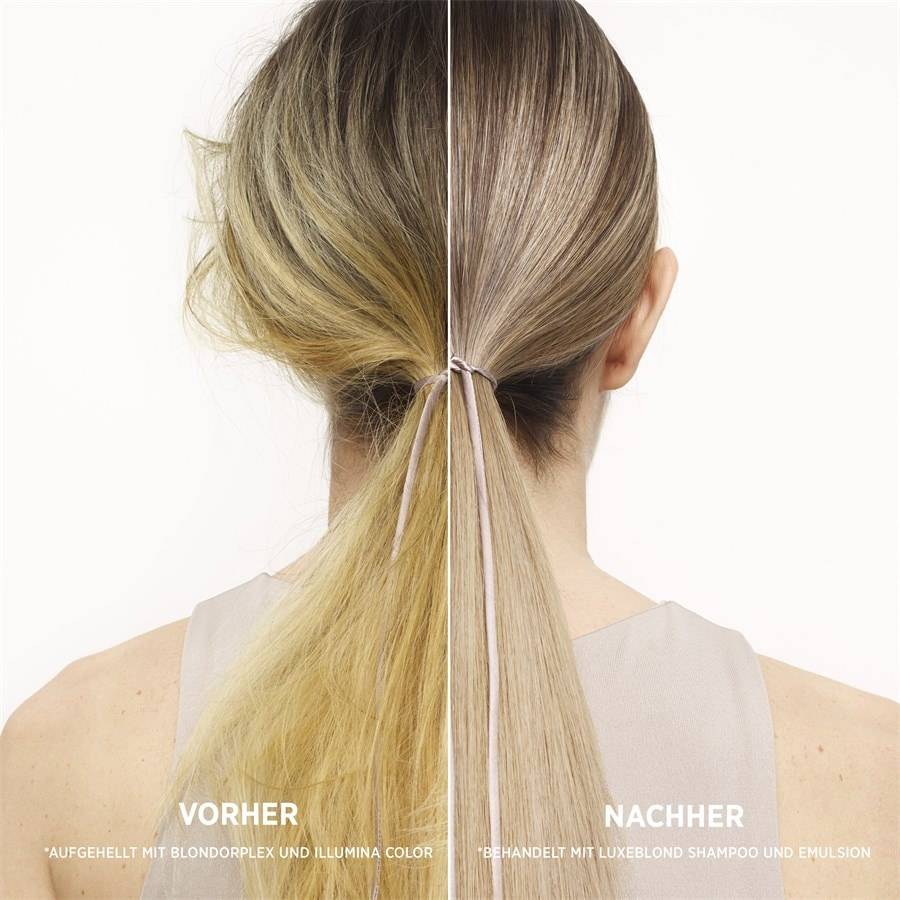 System-Professional-Lipid-Code Luxeblond