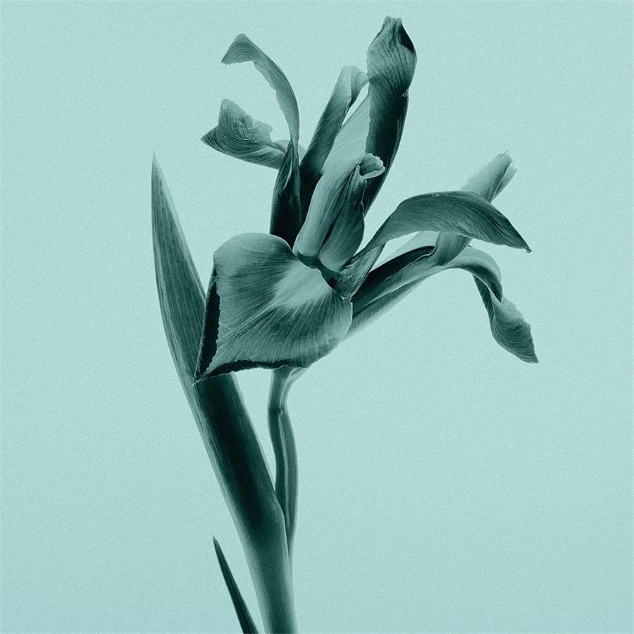 Tiffany-Co Tiffany Eau De Parfum
