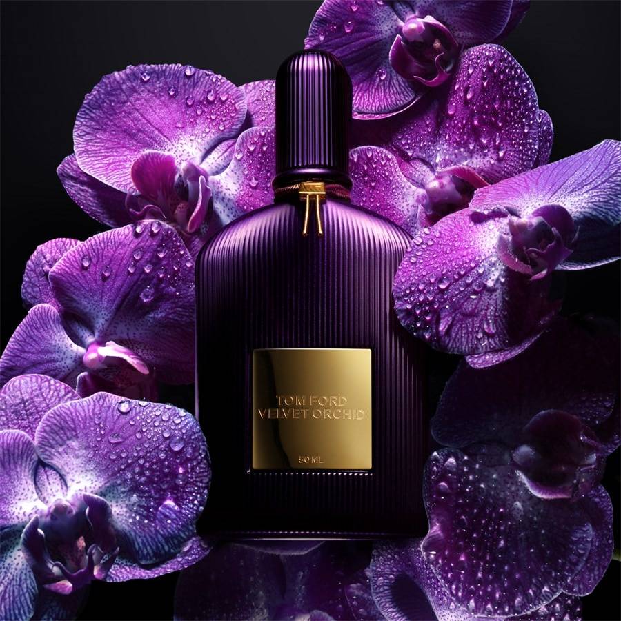Tom-Ford Signature