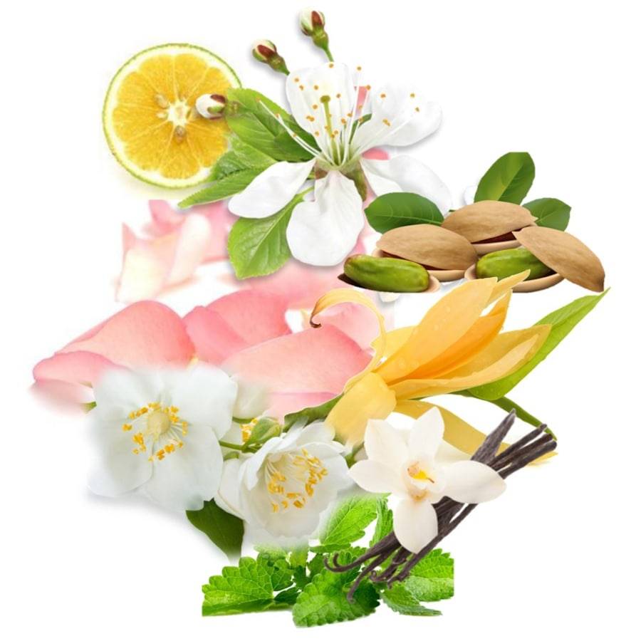 Trussardi Pure Jasmine