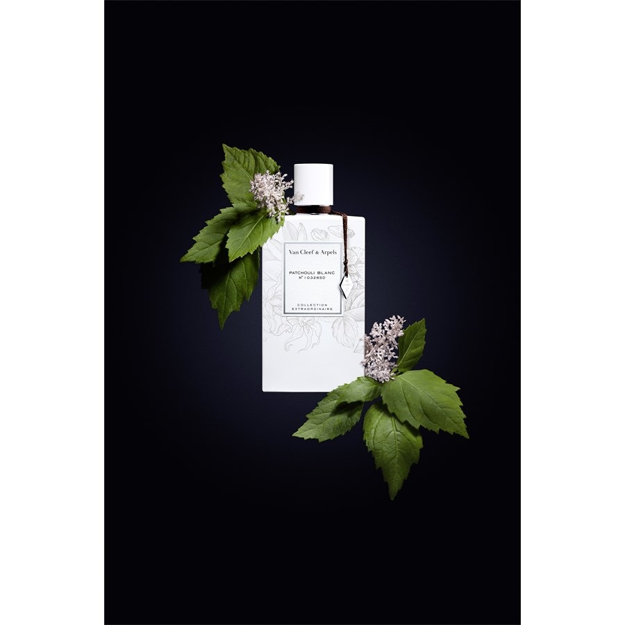 Van-Cleef-Arpels Collection Extraordinaire