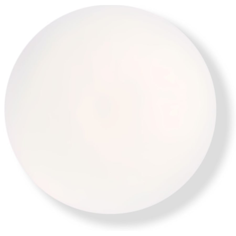 Wet-n-wild Concealer & Primer