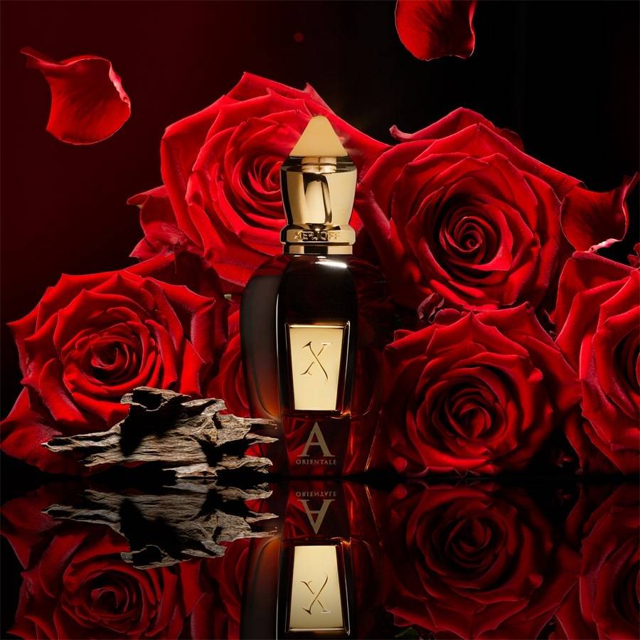 XERJOFF Oud Stars Collection