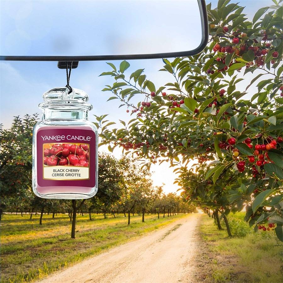 Yankee-Candle Auto-Düfte