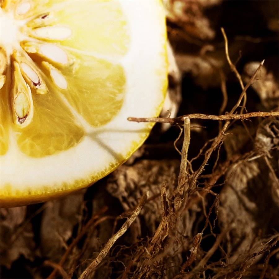 Yves-Saint-Laurent L'Homme