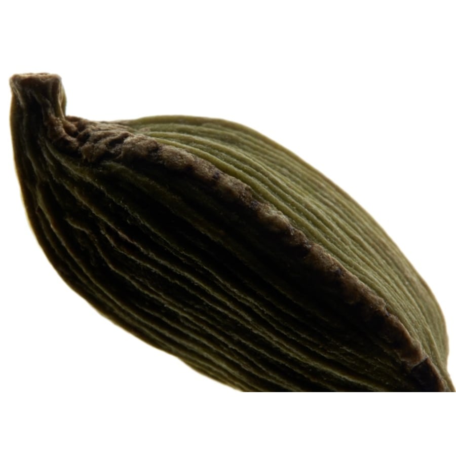 Yves-Saint-Laurent La Nuit De L'Homme