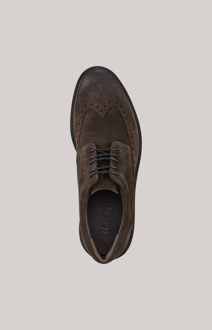 Joop Brogue Lace-up Velluto New Danilo In Dunkelbraun