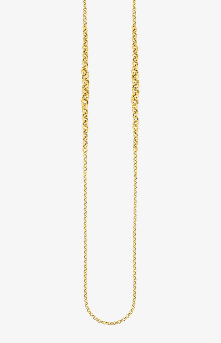 Joop Collier in Gold