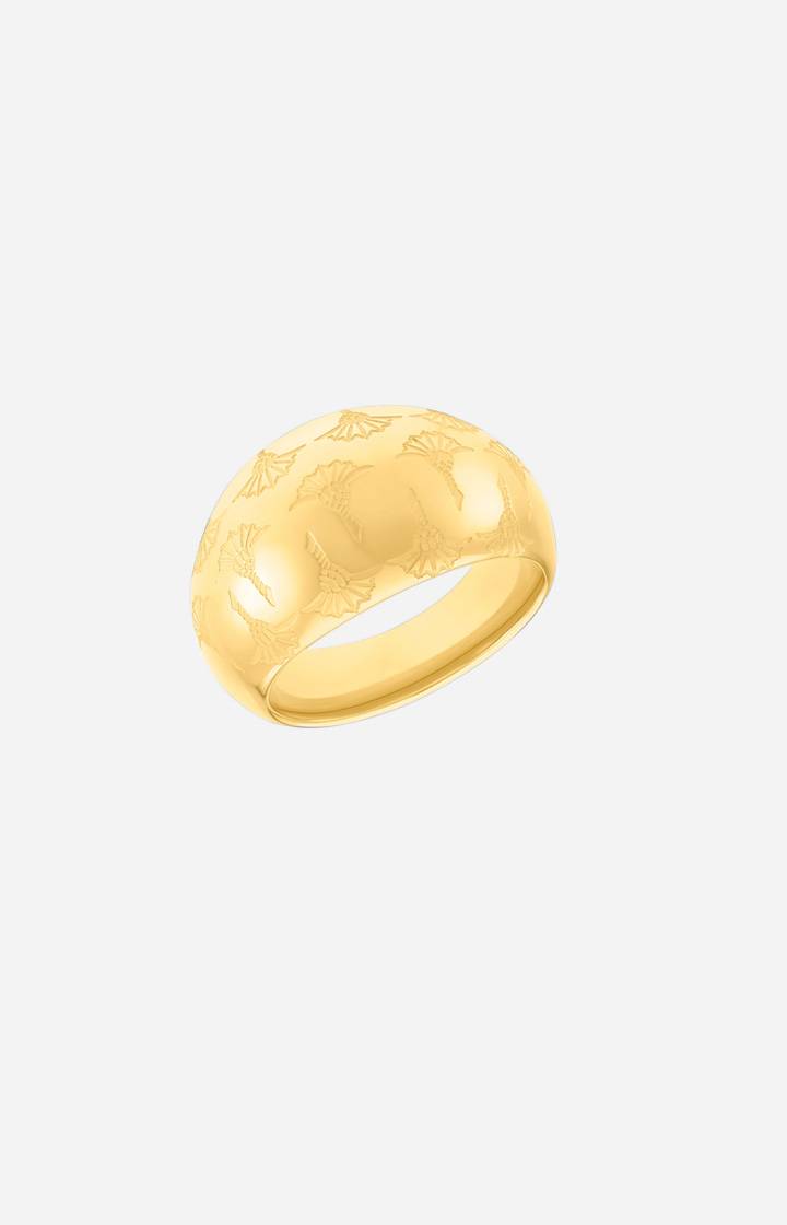 Joop Ring in Gold