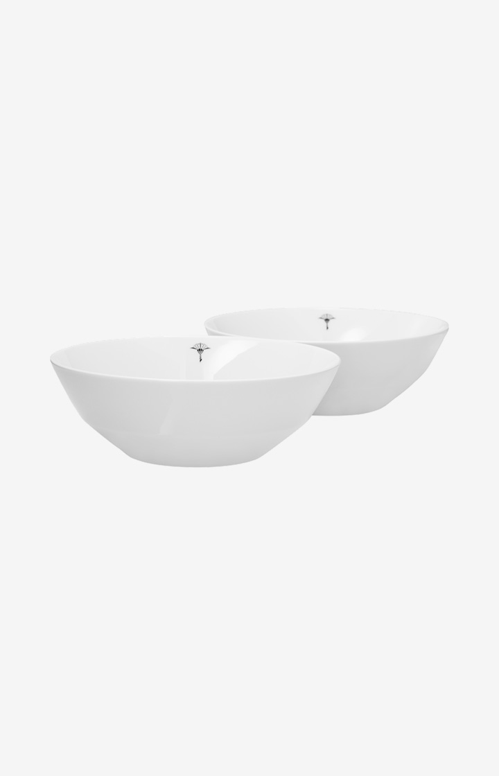 Joop Schale Single Cornflower 16 cm - 2er Set in Weiß