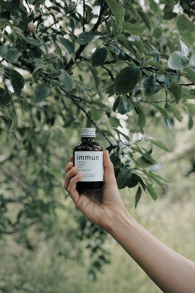 JUKSEREI KRUUT · IMMUNE OXYMEL 150ML