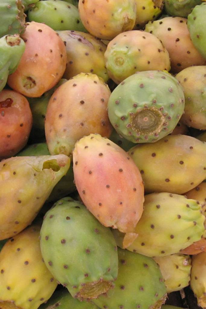 JUKSEREI MERME · ADVANCED EYE THERAPY