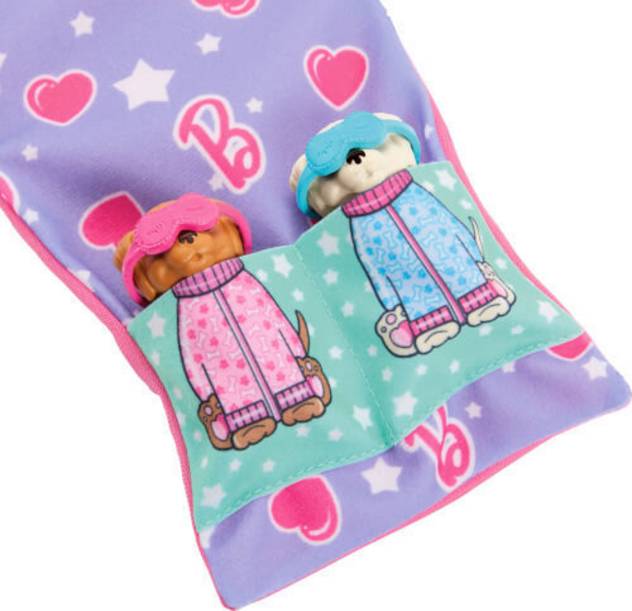 Barbie BRB Welpen Pyjama Party Set Mit Puppe
