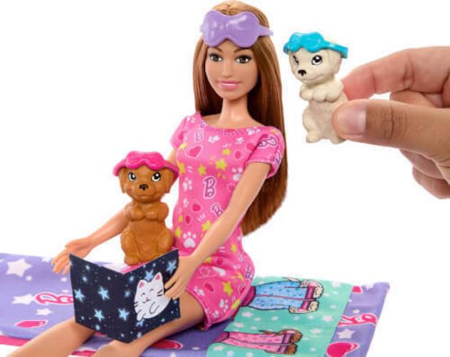 Barbie BRB Welpen Pyjama Party Set Mit Puppe