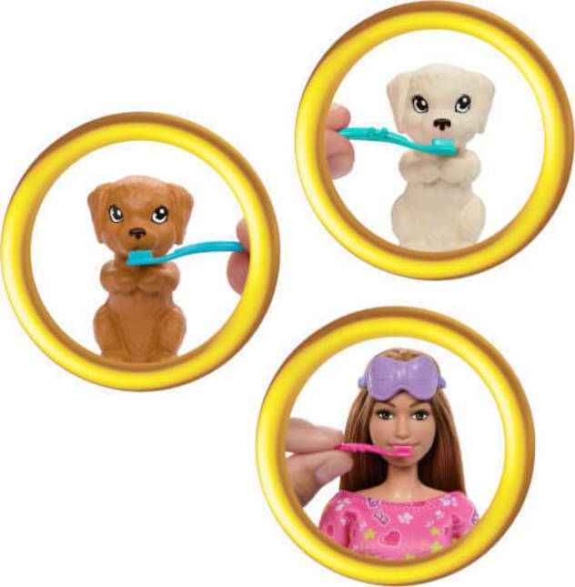 Barbie BRB Welpen Pyjama Party Set Mit Puppe