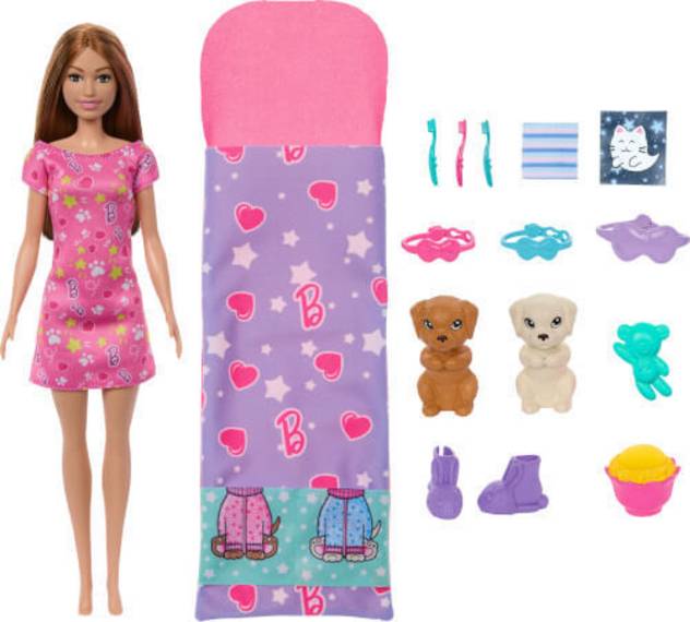Barbie BRB Welpen Pyjama Party Set mit Puppe