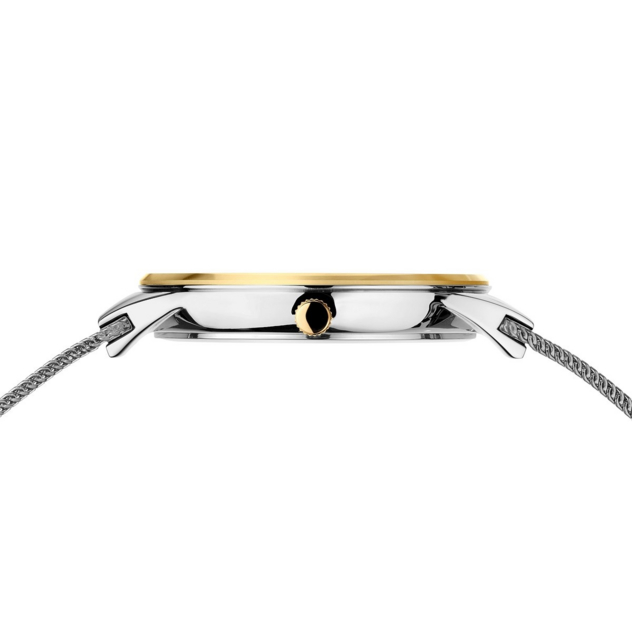 BERING BERING / Watch / Classic / Women