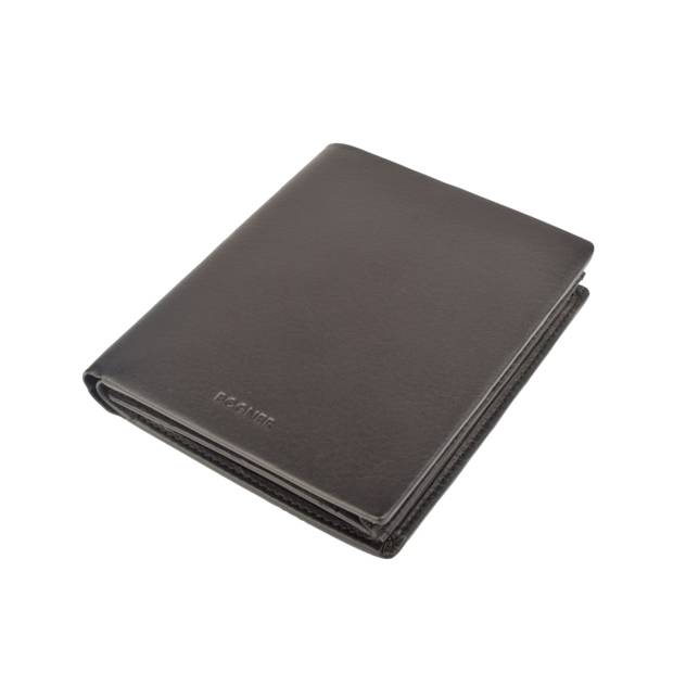 BOGNER Aspen Riko Billfold Lv16
