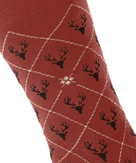 BURLINGTON St. Hubert SO